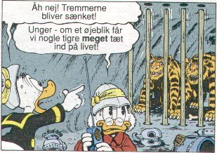 Don Rosa